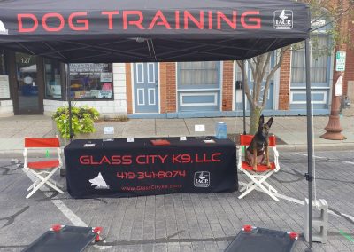 Dog training demonstration in Maumee Ohio.